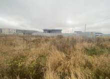 Покупка участок 6.0 соток , фотография 3