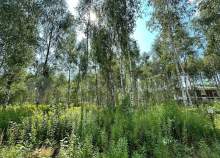 Цена на участок 5.5 соток , фотография 1