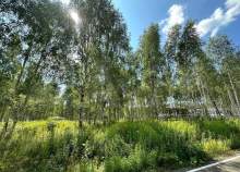 Покупка участок 5.5 соток , фотография 3