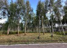 Куплю участок 5.5 соток , фотография 4