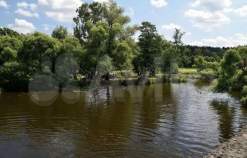 Покупка участок 10.0 соток , фотография 3