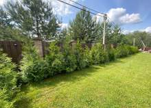 Купить участок 19.5 соток Московская область, Чехов, Московская обл., муниципальный округ Чехов, КП Южные озёра, Чеховская ул., 15 Покупка участок 19.5 соток , фотография 3