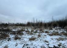 Цена на участок 20.0 соток , фотография 1