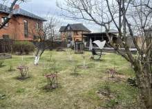 Покупка участок 6.0 соток , фотография 3