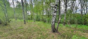 Купить участок 8.0 соток , фотография 5