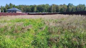 Покупка участок 15.0 соток , фотография 3