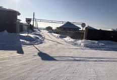 Купить участок 20.0 соток Московская область, Домодедово, Новое Судаково кп, Купить участок 20.0 соток , фотография 5