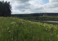 Продается дом на участке соток Московская область, городской округ Серпухов, городской округ Серпухов Куплю дом на участке соток , фотография 4