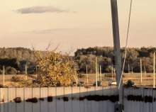 Купить участок 10.0 соток Московская область, Домодедово, Московская обл., г.о. Домодедово, с. Лямцино, Дорожный тупик Покупка участок 10.0 соток , фотография 3