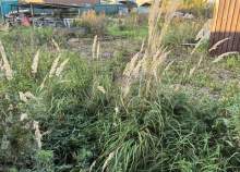 Продается участок 10.0 соток Московская область, Домодедово, Московская обл., г.о. Домодедово, с. Лямцино, Дорожный тупик Куплю участок 10.0 соток , фотография 4