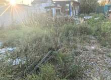 Купить участок 10.0 соток Московская область, Домодедово, Московская обл., г.о. Домодедово, с. Лямцино, Дорожный тупик Купить участок 10.0 соток , фотография 6