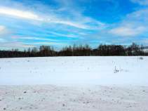 Купить участок 6.1 соток Московская область, Домодедово, городской округ Домодедово, Восточная улица Купить участок 6.1 соток , фотография 6