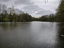 Купить участок 75.0 соток , фотография 6