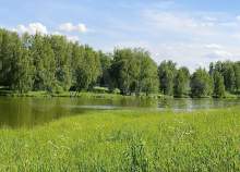 Покупка участок 18.5 соток , фотография 3