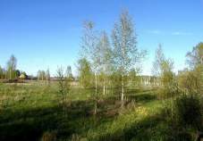 Куплю участок 20.0 соток , фотография обложки