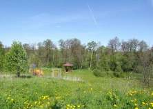 Покупка участок 20.0 соток , фотография 3