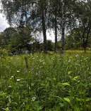 Купить участок 11.0 соток Московская область, Чехов, Московская обл., муниципальный округ Чехов, СНТ Минкас, 79 Купить участок 11.0 соток , фотография 5