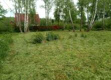 Продать участок 6.0 соток Московская область, Чехов, Московская обл., г.о. Чехов, д. Гришенки Продать участок 6.0 соток , фотография 2