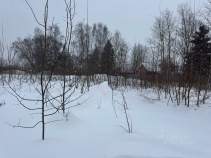 Купить участок 21.0 соток Московская область, Домодедово городской округ, с. Константиново, ул. Тихая Покупка участок 21.0 соток , фотография 3