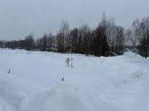 Продается участок 21.0 соток Московская область, Домодедово городской округ, с. Константиново, ул. Тихая Куплю участок 21.0 соток , фотография 4