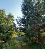 Купить дом на участке соток Московская область, Домодедово, Московская обл., Раменский муниципальный округ, д. Сельвачёво Купить дом на участке соток , фотография 8