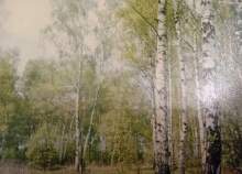 Куплю участок 200.0 соток , фотография обложки