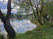 Куплю участок 6.0 соток , фотография обложки