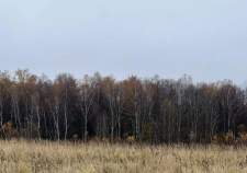 Купить участок 26.0 соток Московская область, муниципальный округ Чехов, село Стремилово Купить участок 26.0 соток , фотография 6