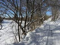 Купить участок 5.1 соток , фотография 5