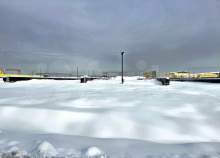 Покупка участок 26.0 соток , фотография 3