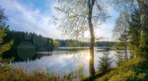 Купить участок 10.0 соток Московская область, Чехов, Московская обл., муниципальный округ Чехов, д. Большое Петровское, КП Олвиль Покупка участок 10.0 соток , фотография 3