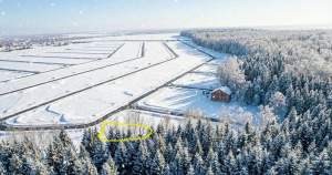 Продажа недвижимости Московская область, Домодедово городской округ, д. Матчино, Артемово кп, 50 Цена на участок 9.9 соток , фотография 1