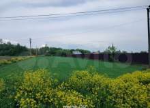 Покупка участок 12.0 соток , фотография 3