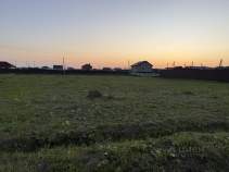 Фотография Участок в Московская область, Домодедово городской округ, д. Шишкино, Шишкин Лес кп 269 (10.0 сот.), 269 Куплю участок 10.0 соток , фотография обложки