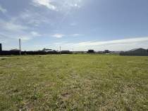 Продать участок 10.0 соток Московская область, Домодедово городской округ, д. Шишкино, Шишкин Лес кп, 269 Продать участок 10.0 соток , фотография 2