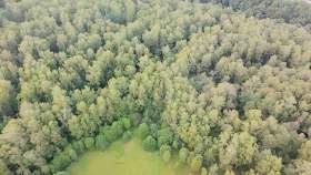 Купить участок 15.0 соток Московская область, Серпухов городской округ, Дубрава-2 СНТСН, Купить участок 15.0 соток , фотография 6