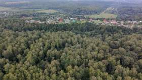 Купить участок 15.0 соток Московская область, Серпухов городской округ, Дубрава-2 СНТСН, Купить участок 15.0 соток , фотография 7