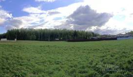 Купить участок 8.0 соток , фотография 6