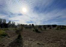 Фотография Участок 13 сот. (промназначения), Московская обл., Домодедово, мкр-н Северный, Лесная ул. Куплю участок 13.0 соток , фотография обложки