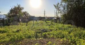 Продать участок 6.0 соток , фотография 2