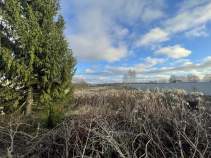 Покупка участок 10.0 соток , фотография 3