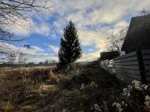 Куплю участок 10.0 соток , фотография 4