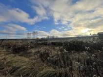 Купить участок 10.0 соток , фотография 5