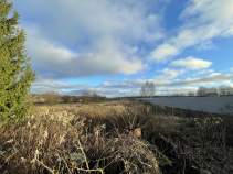 Купить участок 10.0 соток , фотография 9