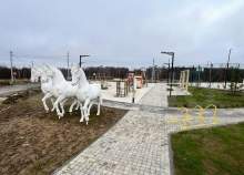 Купить участок 6.0 соток , фотография 5