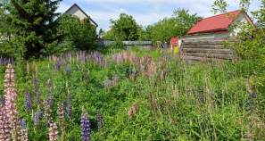 Продать участок 8.7 соток , фотография 2