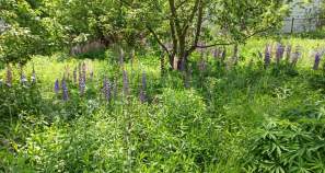 Куплю участок 8.7 соток , фотография 4