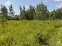 Куплю участок 12.0 соток , фотография 4