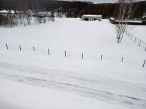 Купить участок 15.0 соток Московская обл, г Чехов, деревня Филипповское Покупка участок 15.0 соток , фотография 3