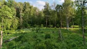 Цена на участок 8.0 соток , фотография 1